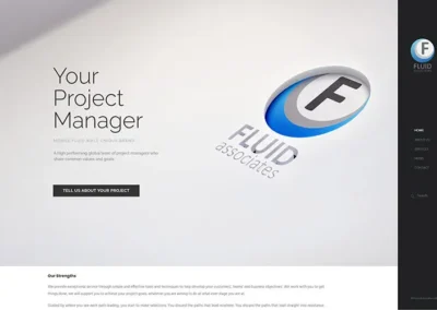 Fluid Associates - Project Manager